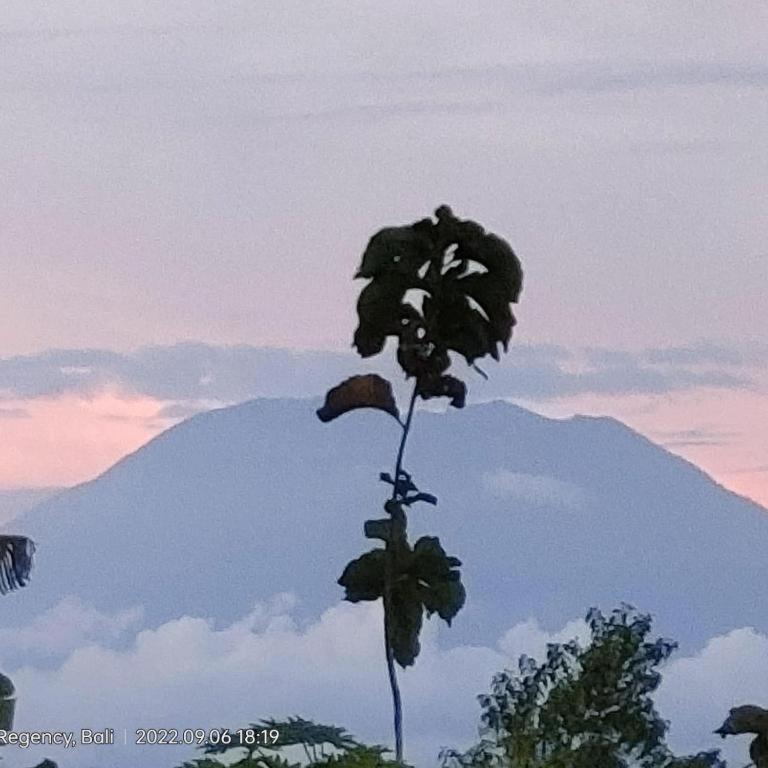 Villa Ume Tenang Nusa Penida Zewnętrze zdjęcie